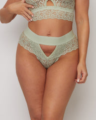 Ivy Brazilian : Silvery Green
