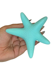 Turquoise starfish held in a hand against a white background