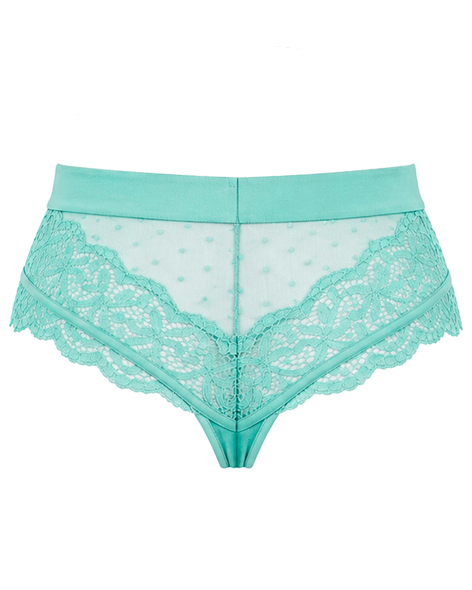 Back view of the Tutti Rouge Francine Thong in Ocean Wave, showcasing sheer dotted mesh, delicate floral lace panels, scalloped lace edging and a flattering high-waisted fit.